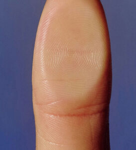 Service and Sales Support